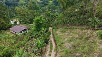 SE VENDE FINCA CON CASCADA PRIVADA Y ENTORNO NATURAL UNICO