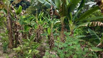 SE VENDE FINCA CON CASCADA PRIVADA Y ENTORNO NATURAL UNICO
