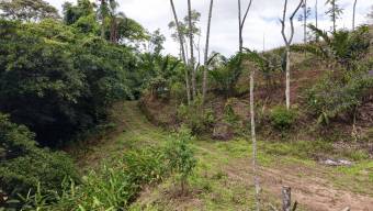 SE VENDE FINCA CON CASCADA PRIVADA Y ENTORNO NATURAL UNICO