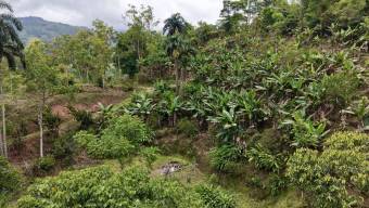 SE VENDE FINCA CON CASCADA PRIVADA Y ENTORNO NATURAL UNICO