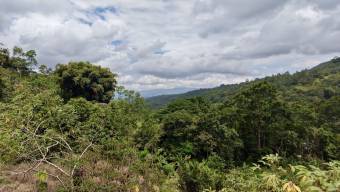 SE VENDE FINCA CON CASCADA PRIVADA Y ENTORNO NATURAL UNICO
