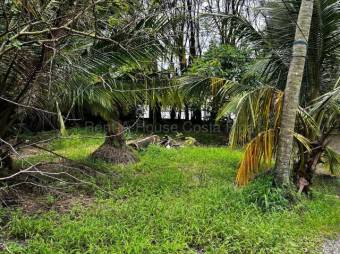 Venta de Lote en Limón-Centro. RAH 27-706