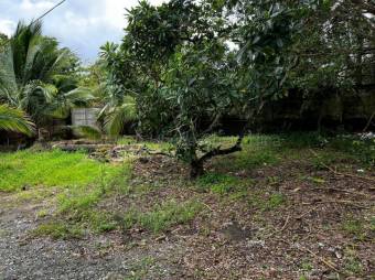 Venta de Lote en Limón-Centro. RAH 27-706