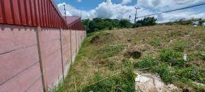Se vende lote en Mata de Plátano Goicoechea 26-743 Se vende lote en Mata de Plátano Goicoechea 26-743