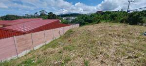 Se vende lote en Mata de Plátano Goicoechea 26-743 Se vende lote en Mata de Plátano Goicoechea 26-743