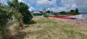 Se vende lote en Mata de Plátano Goicoechea 26-743 Se vende lote en Mata de Plátano Goicoechea 26-743