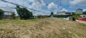 Se vende lote en Mata de Plátano Goicoechea 26-743