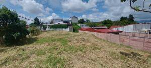 Se vende lote en Mata de Plátano Goicoechea 26-743 Se vende lote en Mata de Plátano Goicoechea 26-743