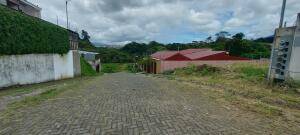 Se vende lote en Mata de Plátano Goicoechea 26-743 Se vende lote en Mata de Plátano Goicoechea 26-743