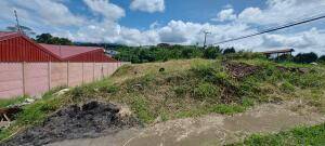 Se vende lote en Mata de Plátano Goicoechea 26-743 Se vende lote en Mata de Plátano Goicoechea 26-743