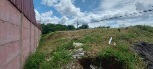 Se vende lote en Mata de Plátano Goicoechea 26-743 Se vende lote en Mata de Plátano Goicoechea 26-743