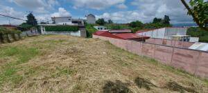 Se vende lote en Mata de Plátano Goicoechea 26-743 Se vende lote en Mata de Plátano Goicoechea 26-743