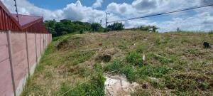 Se vende lote en Mata de Plátano Goicoechea 26-743 Se vende lote en Mata de Plátano Goicoechea 26-743