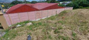 Se vende lote en Mata de Plátano Goicoechea 26-743 Se vende lote en Mata de Plátano Goicoechea 26-743