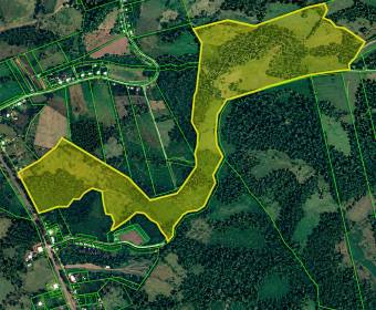 Finca de 102 hectáreas en venta en Los Lirios de Los Chiles de Alajuela.