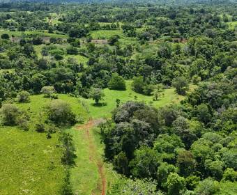 Finca de 102 hectáreas en venta en Los Lirios de Los Chiles de Alajuela. Finca de 102 hectáreas en venta en Los Lirios de Los Chiles de Alajuela.