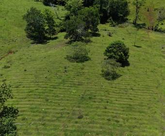 Finca de 102 hectáreas en venta en Los Lirios de Los Chiles de Alajuela. Finca de 102 hectáreas en venta en Los Lirios de Los Chiles de Alajuela.