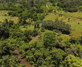 Finca de 102 hectáreas en venta en Los Lirios de Los Chiles de Alajuela. Finca de 102 hectáreas en venta en Los Lirios de Los Chiles de Alajuela.