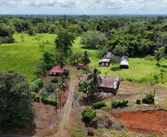 Finca de 102 hectáreas en venta en Los Lirios de Los Chiles de Alajuela. Finca de 102 hectáreas en venta en Los Lirios de Los Chiles de Alajuela.