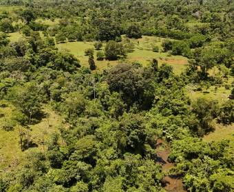 Finca de 102 hectáreas en venta en Los Lirios de Los Chiles de Alajuela. Finca de 102 hectáreas en venta en Los Lirios de Los Chiles de Alajuela.