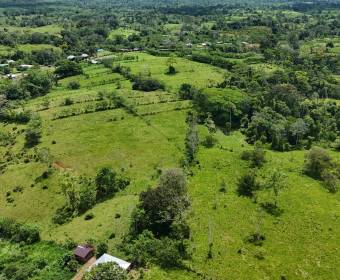 Finca de 102 hectáreas en venta en Los Lirios de Los Chiles de Alajuela. Finca de 102 hectáreas en venta en Los Lirios de Los Chiles de Alajuela.