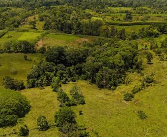 Finca de 102 hectáreas en venta en Los Lirios de Los Chiles de Alajuela. Finca de 102 hectáreas en venta en Los Lirios de Los Chiles de Alajuela.