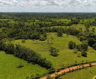 Finca de 102 hectáreas en venta en Los Lirios de Los Chiles de Alajuela. Finca de 102 hectáreas en venta en Los Lirios de Los Chiles de Alajuela.