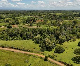 Finca de 102 hectáreas en venta en Los Lirios de Los Chiles de Alajuela. Finca de 102 hectáreas en venta en Los Lirios de Los Chiles de Alajuela.