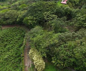 3.23-hectare farm in Los Ángeles Norte, San Ramón, Alajuela. 3.23-hectare farm in Los Ángeles Norte, San Ramón, Alajuela.