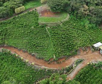 3.23-hectare farm in Los Ángeles Norte, San Ramón, Alajuela. 3.23-hectare farm in Los Ángeles Norte, San Ramón, Alajuela.