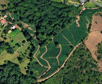 3.23-hectare farm in Los Ángeles Norte, San Ramón, Alajuela. 3.23-hectare farm in Los Ángeles Norte, San Ramón, Alajuela.