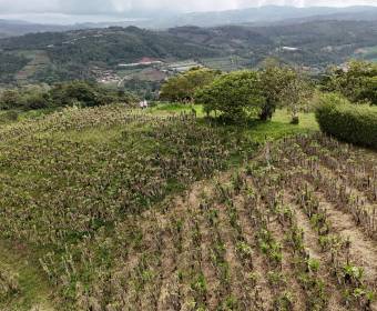 4.99-hectare farm in Los Ángeles Norte, San Ramón, Alajuela. 4.99-hectare farm in Los Ángeles Norte, San Ramón, Alajuela.