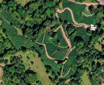 4.99-hectare farm in Los Ángeles Norte, San Ramón, Alajuela. 4.99-hectare farm in Los Ángeles Norte, San Ramón, Alajuela.
