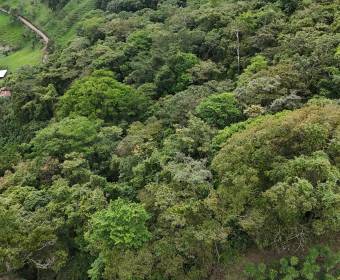 4.99-hectare farm in Los Ángeles Norte, San Ramón, Alajuela. 4.99-hectare farm in Los Ángeles Norte, San Ramón, Alajuela.