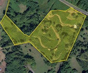 4.99-hectare farm in Los Ángeles Norte, San Ramón, Alajuela.