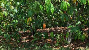 SE VENDE TERRENO LISTO PARA CONSTRUIR EN ZONA TRANQUILA Y DE CLIMA FRESCO