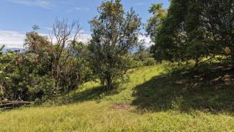 SE VENDE TERRENO LISTO PARA CONSTRUIR EN ZONA TRANQUILA Y DE CLIMA FRESCO