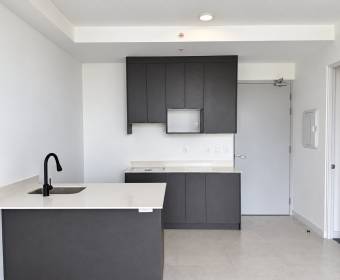 1-bedroom apartment in Sky Garden tower, La Sabana