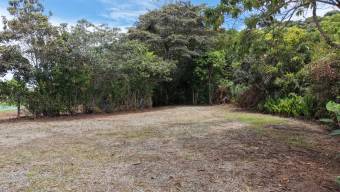 SE VENDE FINCA CON CAMPOS DE PRACTICA EN OPERACION E INGRESOS MENSUALES EN PEREZ ZELEDON