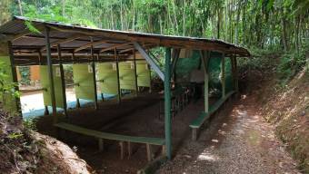 SE VENDE FINCA CON CAMPOS DE PRACTICA EN OPERACION E INGRESOS MENSUALES EN PEREZ ZELEDON