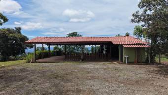 SE VENDE FINCA CON CAMPOS DE PRACTICA EN OPERACION E INGRESOS MENSUALES EN PEREZ ZELEDON