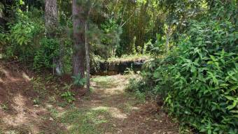 SE VENDE FINCA CON CAMPOS DE PRACTICA EN OPERACION E INGRESOS MENSUALES EN PEREZ ZELEDON