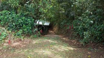 SE VENDE FINCA CON CAMPOS DE PRACTICA EN OPERACION E INGRESOS MENSUALES EN PEREZ ZELEDON