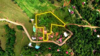 SE VENDE FINCA CON CAMPOS DE PRACTICA EN OPERACION E INGRESOS MENSUALES EN PEREZ ZELEDON