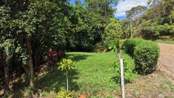 SE VENDE LOTE LISTO PARA CONSTRUIR RODEADO DE NATURALEZA Y A 10 MINUTOS DEL CENTRO