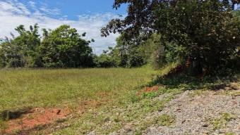SE VENDE FINCA CON INGRESOS ACTIVOS Y POTENCIAL TURISTICO EN PEREZ ZELEDON