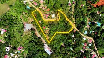 SE VENDE FINCA CON INGRESOS ACTIVOS Y POTENCIAL TURISTICO EN PEREZ ZELEDON