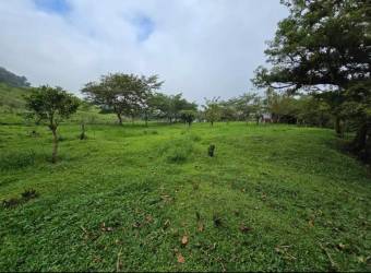 Propiedad en venta en Zarcero