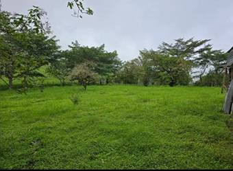 Propiedad en venta en Zarcero