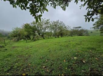 Propiedad en venta en Zarcero